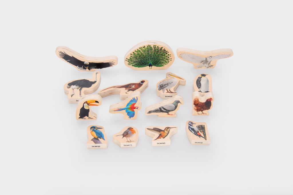 Wooden bird blocks set of colorful animal figures on small wooden bases