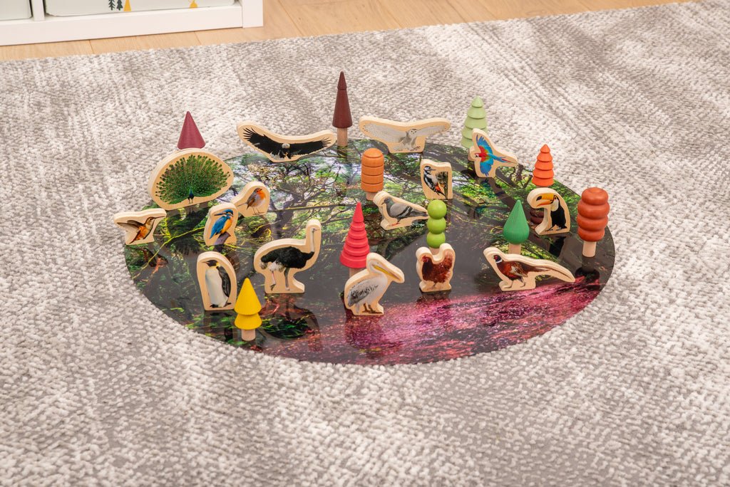 Wooden bird blocks with painted birds placed on a circular habitat play mat