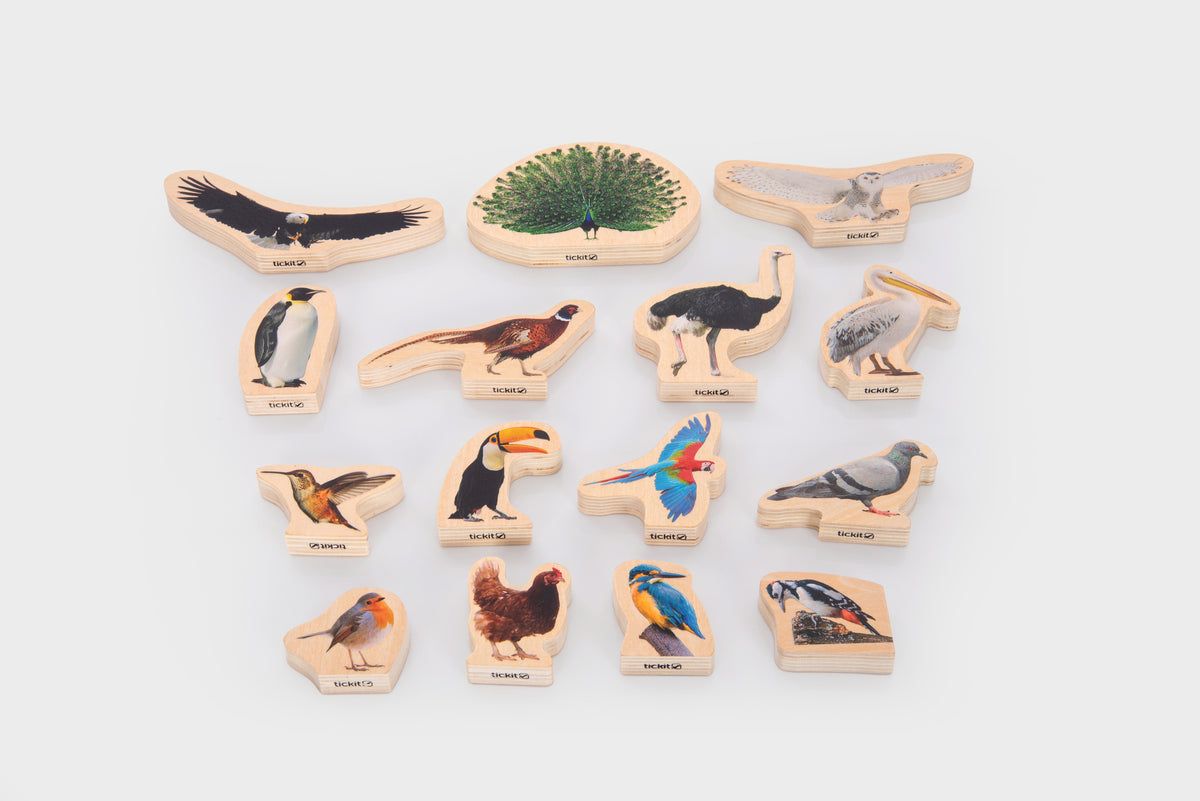 Wooden bird blocks assortment of painted birds with attached wooden mounting bases