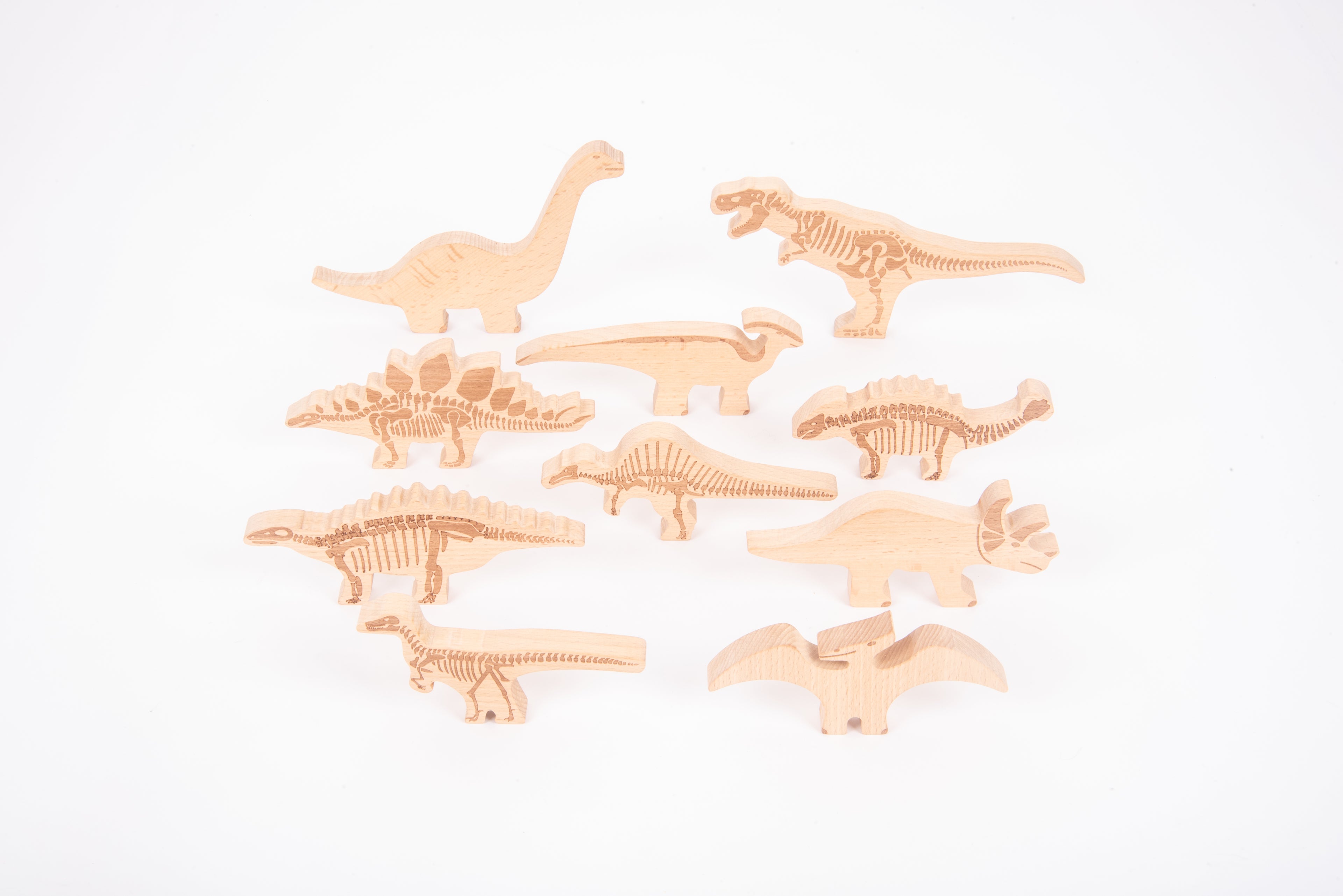 Wooden dinosaur blocks set with engraved ribs and backs, light wood pieces