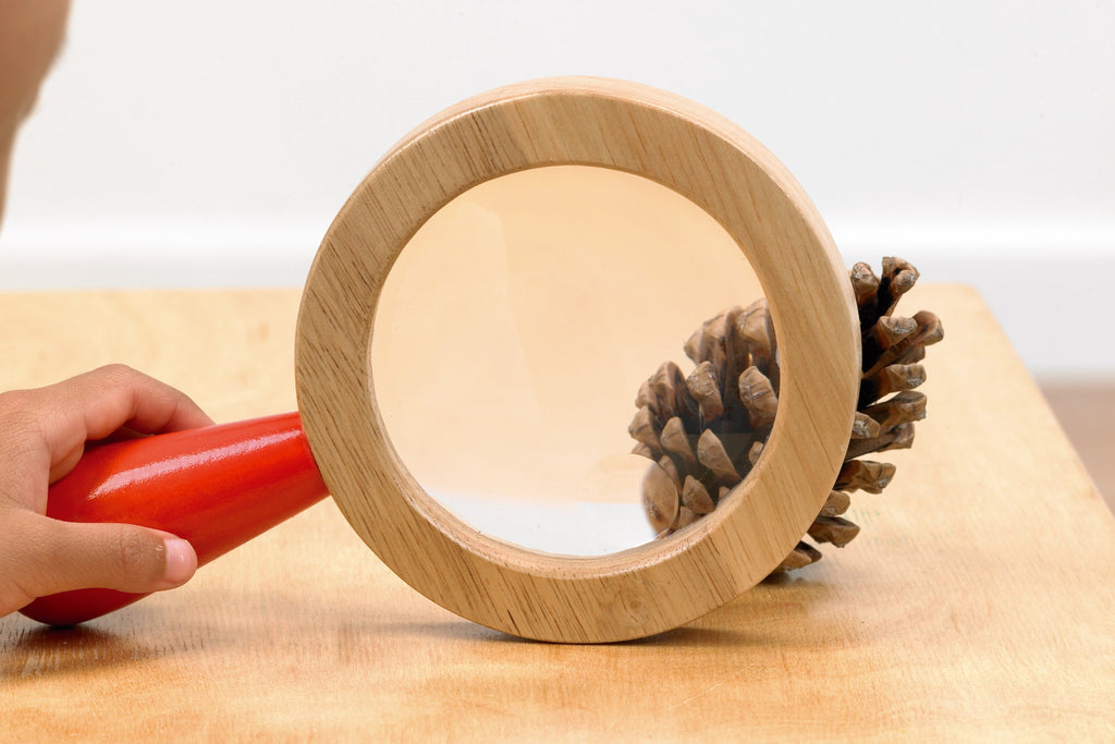 Wooden hand lens with round magnifier and light wood frame