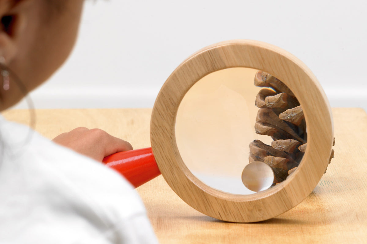 Wooden hand lens set on a table, round magnifier with red handle