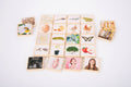 Wooden life cycle tiles set with picture cards spread out, featuring animal and plant life cycles.