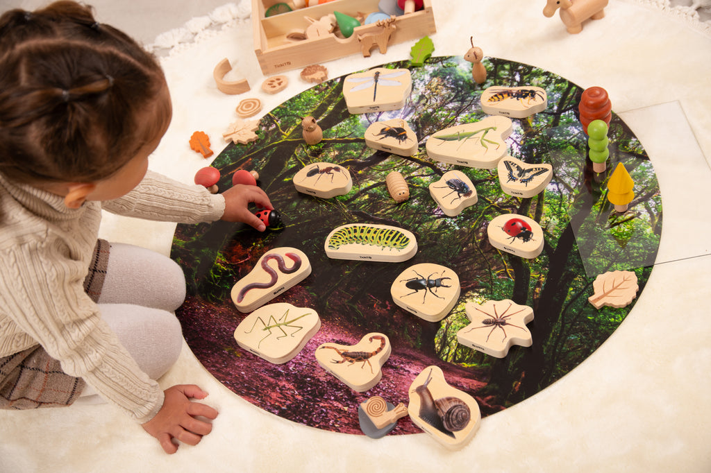 Wooden minibeast blocks on a circular mat, painted worms, beetles, and other insects