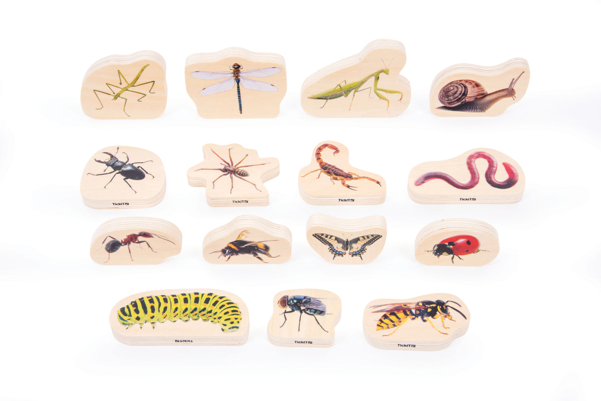 Wooden minibeast blocks set with painted insect and animal wood pieces, neatly arranged