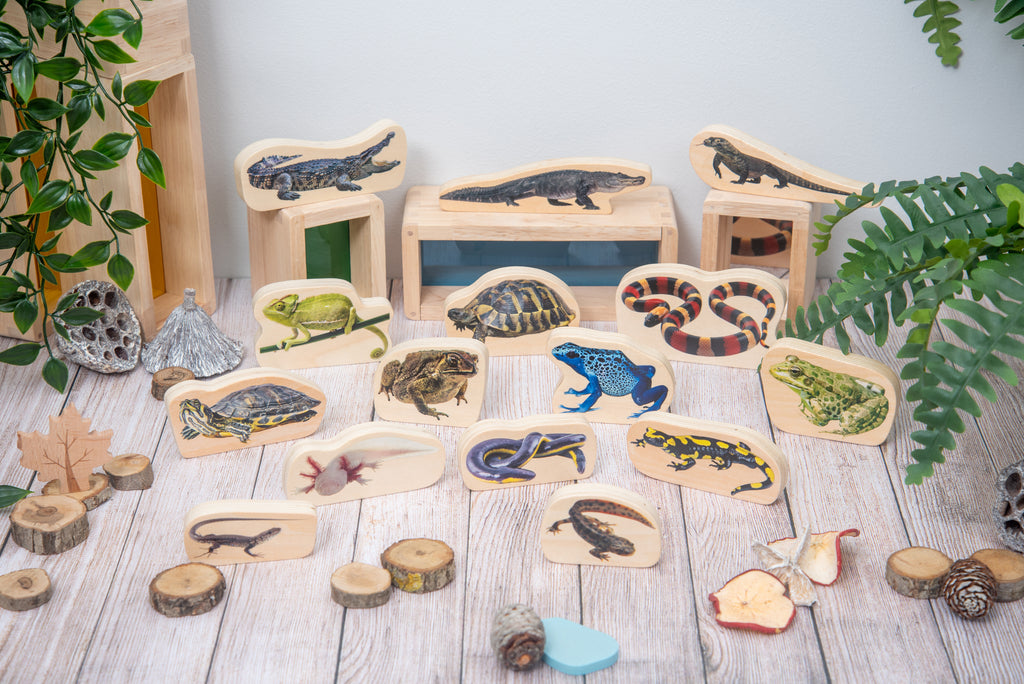 Wooden reptile and amphibian blocks displayed on small wooden stands