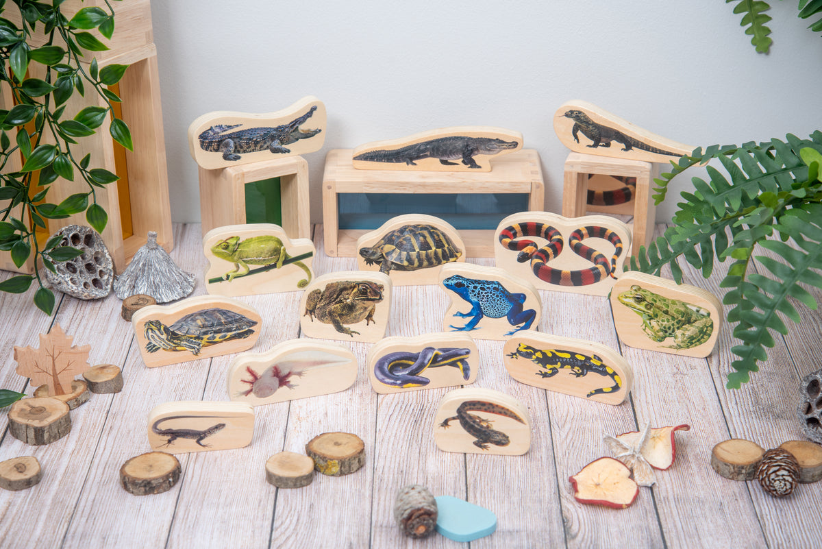 Wooden reptile and amphibian blocks displayed on small wooden stands