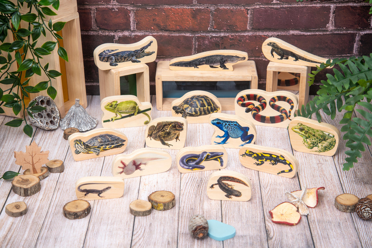 Wooden reptile and amphibian animal blocks with stacked wooden trays and pegs