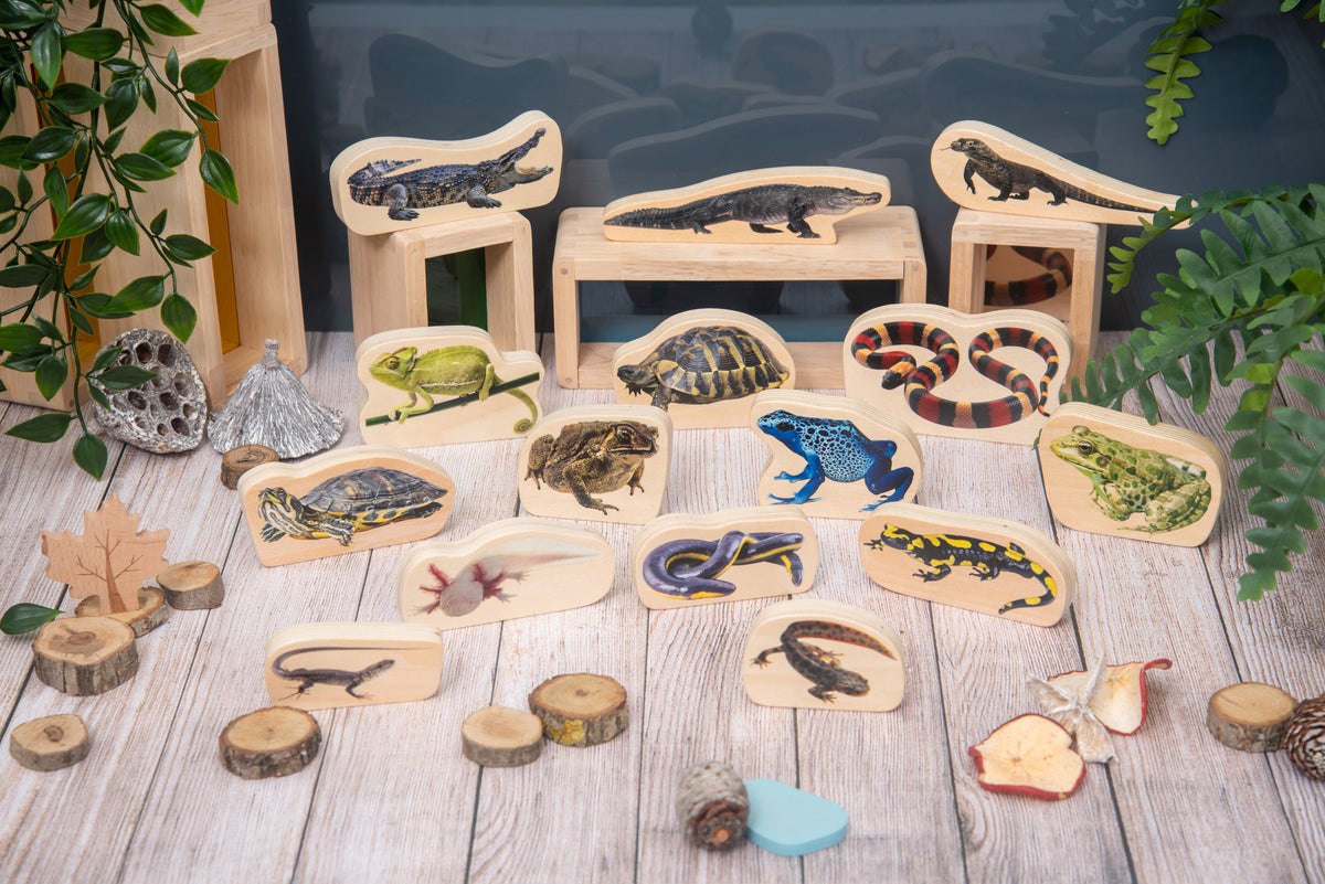 Wooden reptile and amphibian blocks and animal trays arranged on a light wood floor