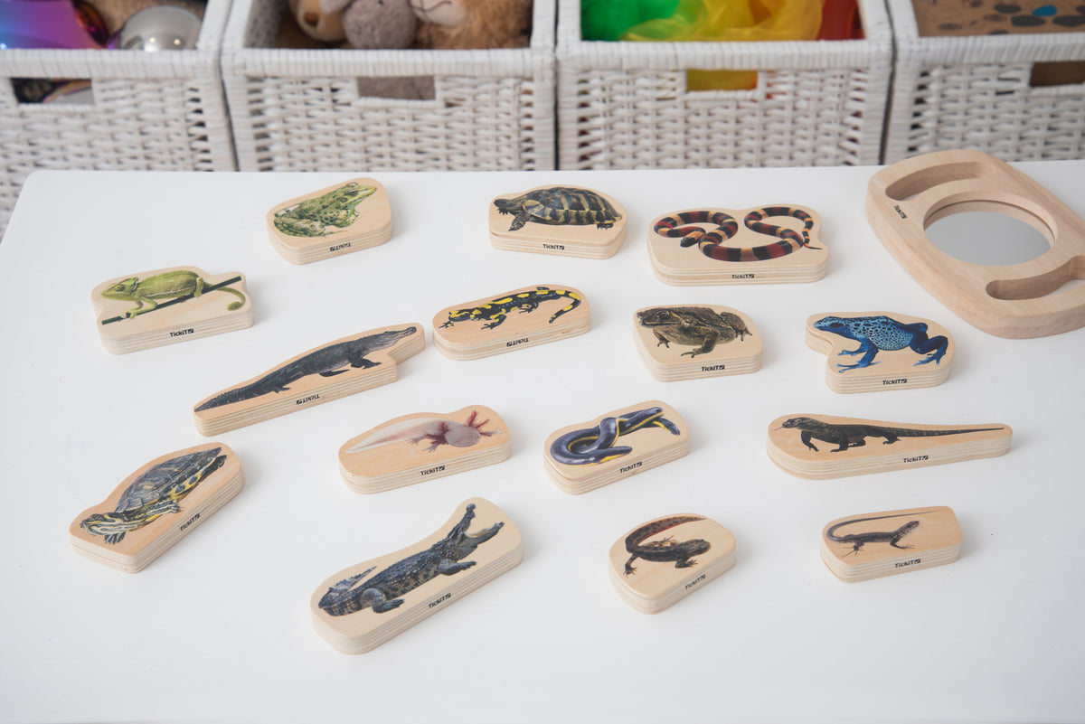 Wooden reptile and amphibian animal blocks set with assorted cutout pieces