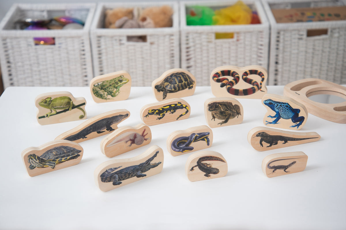 Assorted wooden reptile and amphibian animal blocks laid out on a white surface