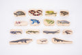 Wooden reptile and amphibian animal blocks set arranged in rows on a white background