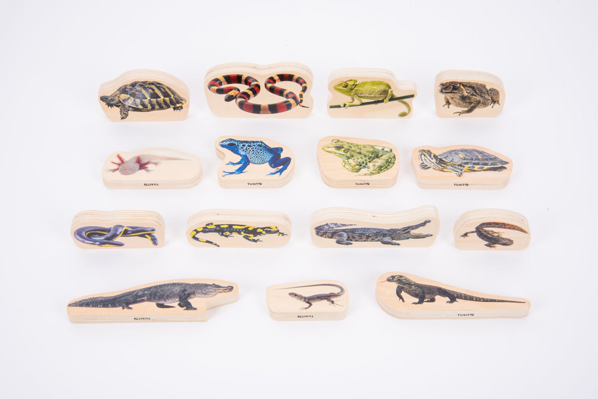Wooden reptile and amphibian animal blocks set arranged in rows on a white background