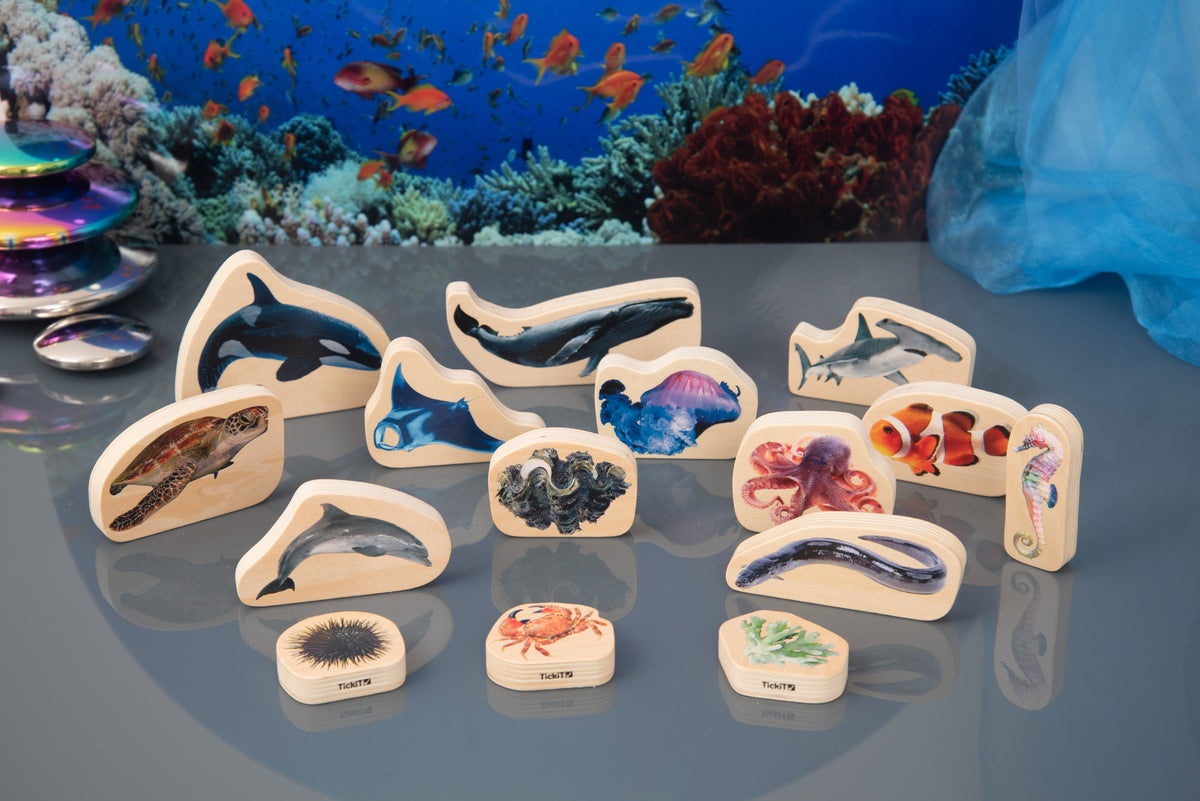 Wooden sea animal blocks showing dolphins, rays, jellyfish, starfish and fish