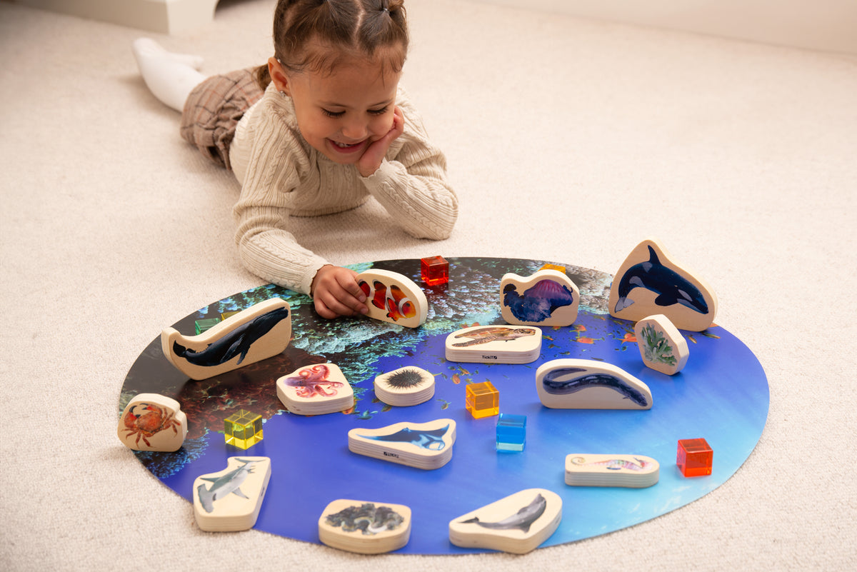 Kid playing with wooden sea animal blocks shaped like dolphins, sharks and fish