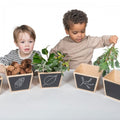 Set of 5 wooden sorting pots with chalkboard fronts and leaf illustrations