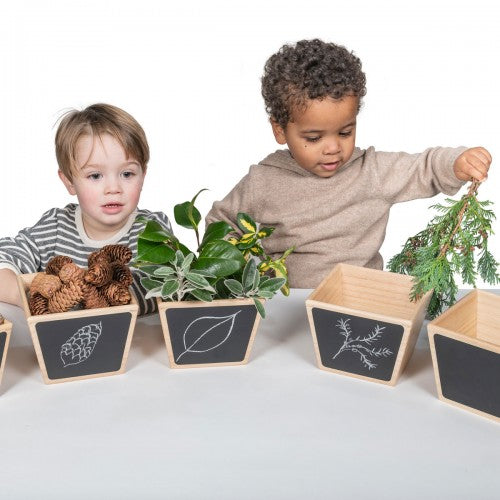 Set of 5 wooden sorting pots with chalkboard fronts and leaf illustrations