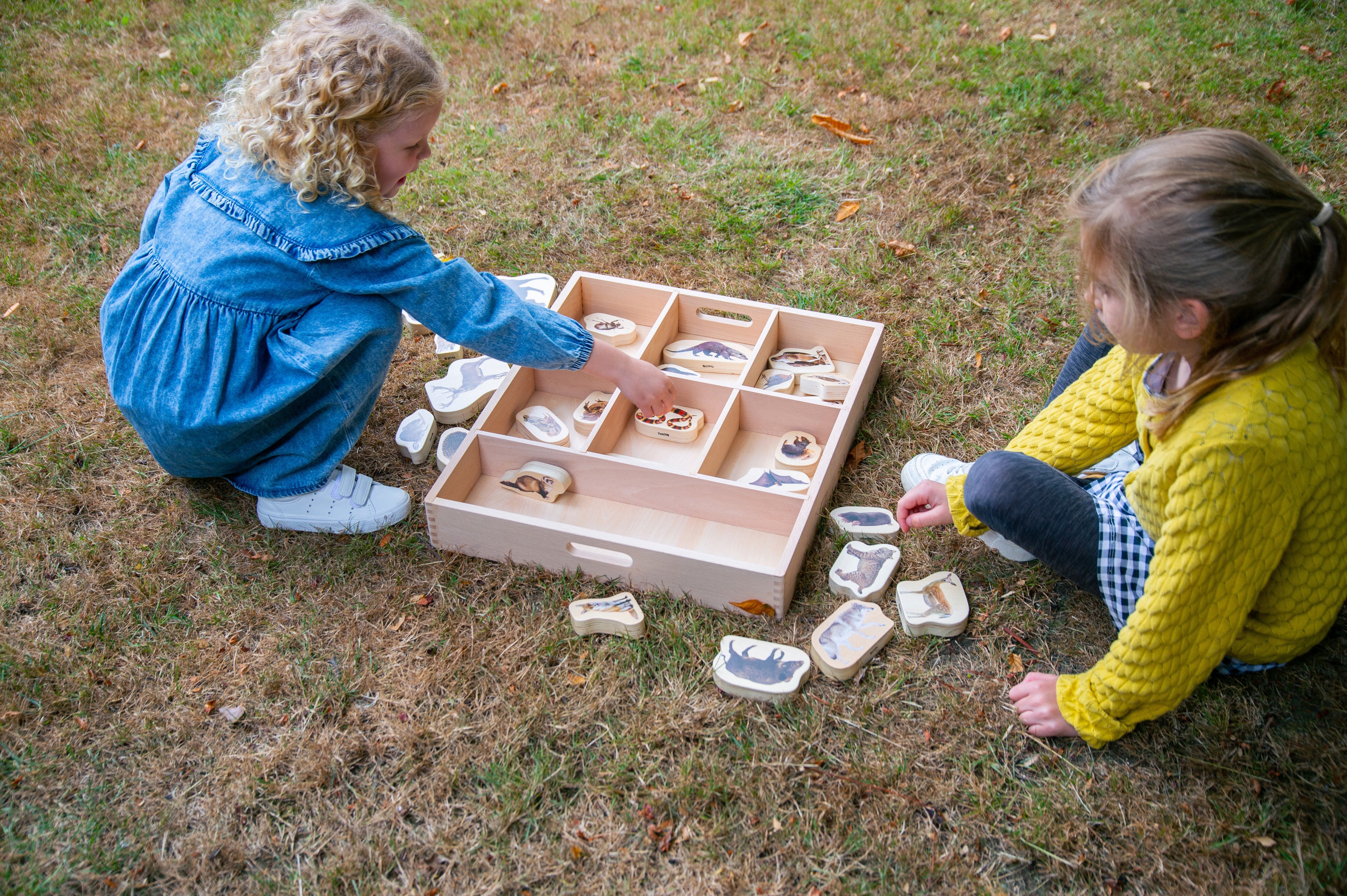 Wooden 7-compartment sorting tray on grass, with small wooden pieces