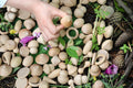 Wooden acorn and leaf pieces with a hand reaching among natural items
