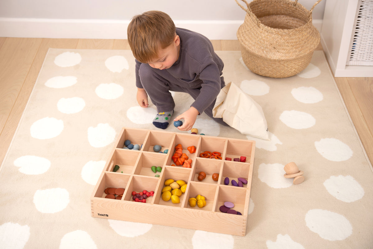 Wooden sorting tray with colorful wooden pieces in compartments for hands-on play